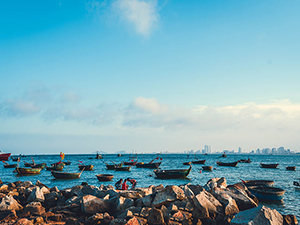 优势明显，资本蜂拥而入