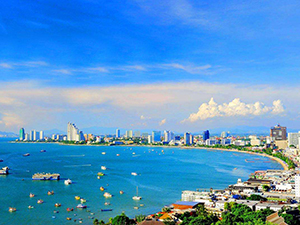 董事、高级管理人员和代表