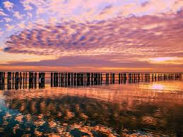 怎么在特拉华州注册公司？