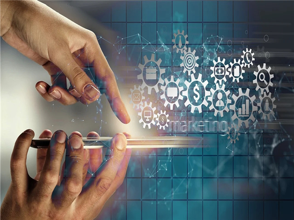 为何选择香港作为转口贸易跳板？