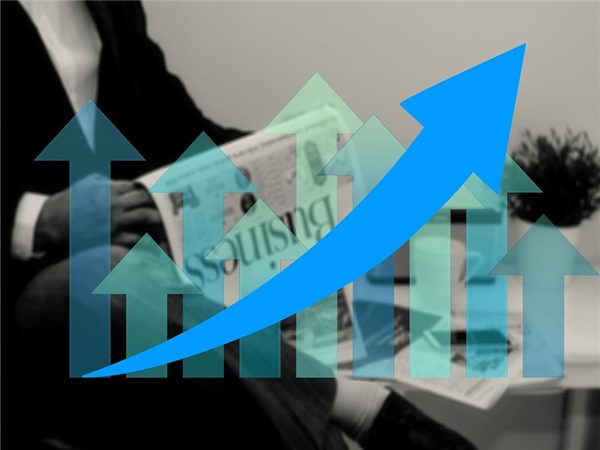 最新政策动态与趋势